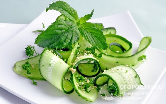 Зеленцы считаются салатными, но многие используют их и для консервации