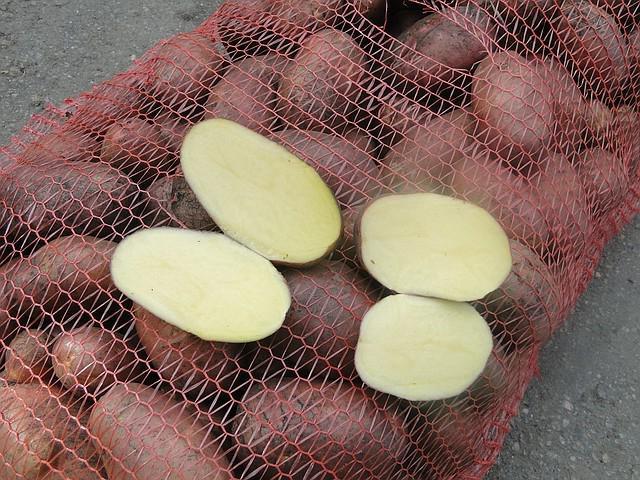 Окучивание картофеля