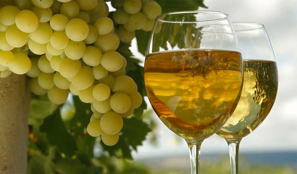 Ркацители - наиболее распространенный сорт винограда в Грузии