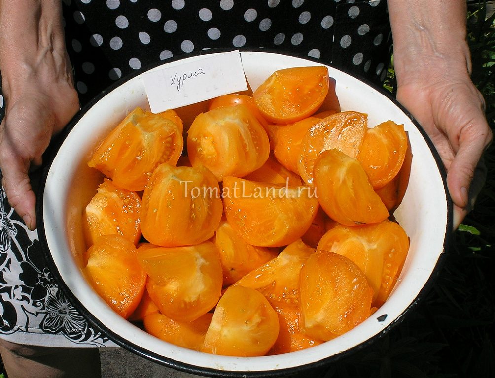 помидоры хурма фото