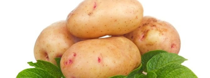 сорт картофеля аврора