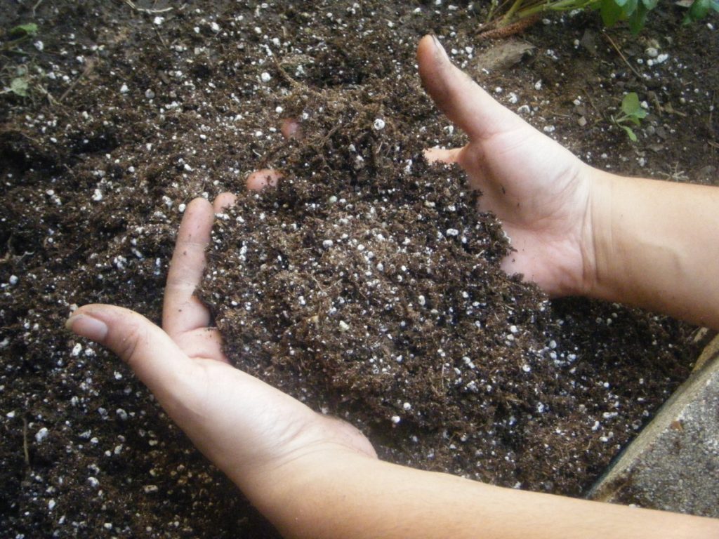 Удобрение почвы и растений при помощи хлористого калия