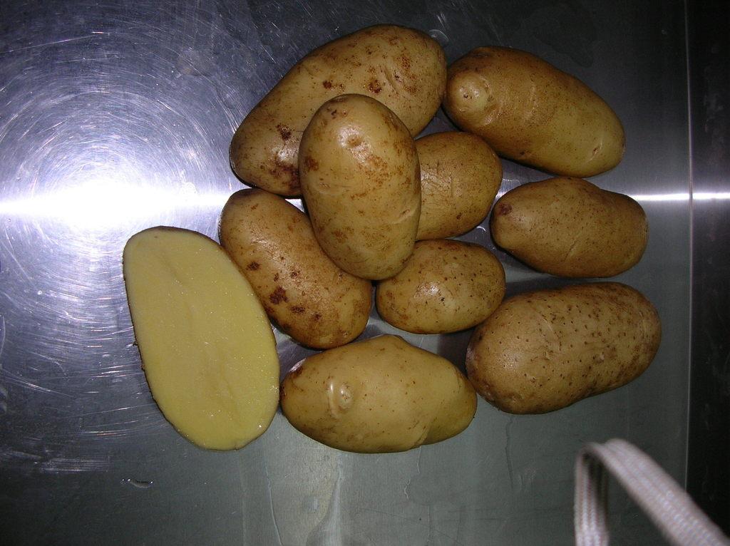 картофель королева анна
