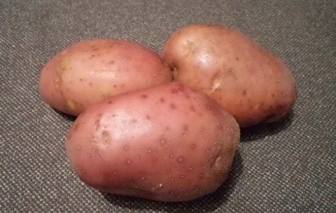 картофель манифест