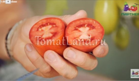 томаты царское искушение в разрезе фото