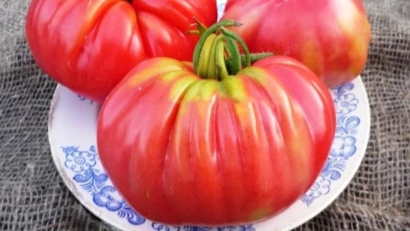 Крайне необычный сорт от сибирский селекционеров - томат 