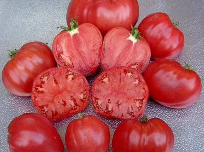 Плоды томатов Абаканский розовый