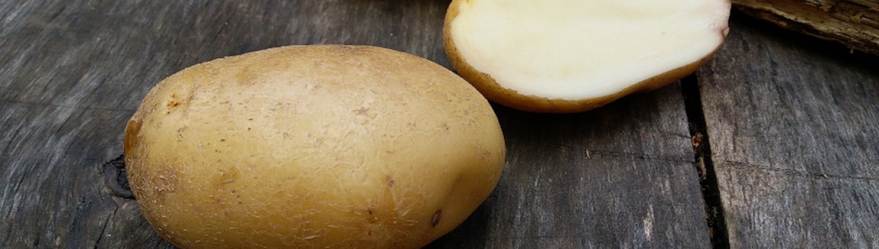 картофель лорх