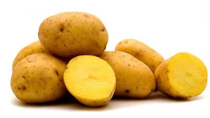 Раннеспелый сорт картофеля 