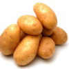 картофель брянский деликатес описание сорта фото отзывы