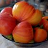 томат сокровище инков характеристика и описание сорта
