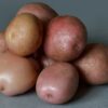 картофель романо характеристика сорта отзывы