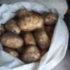 картофель тулеевский характеристика сорта отзывы вкусовые качества