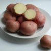 картофель романо характеристика сорта отзывы