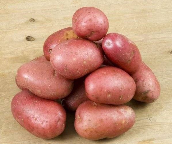 картофель журавинка характеристика сорта отзывы вкусовые качества