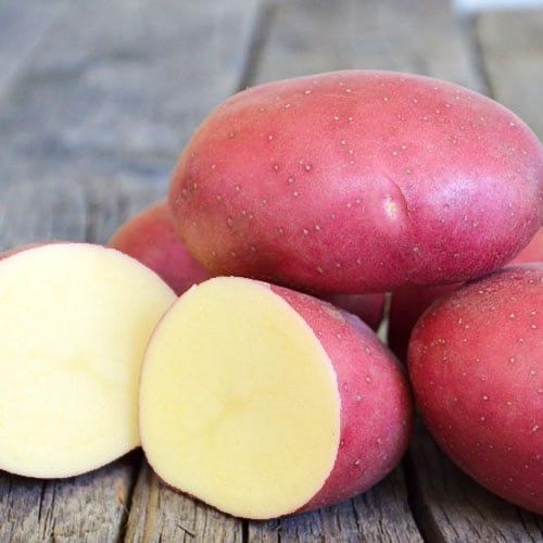рокко картофель характеристика