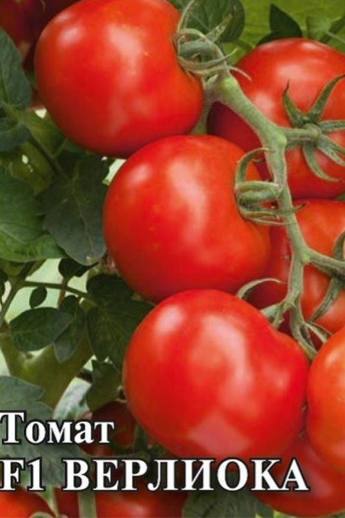 верлиока томат отзывы