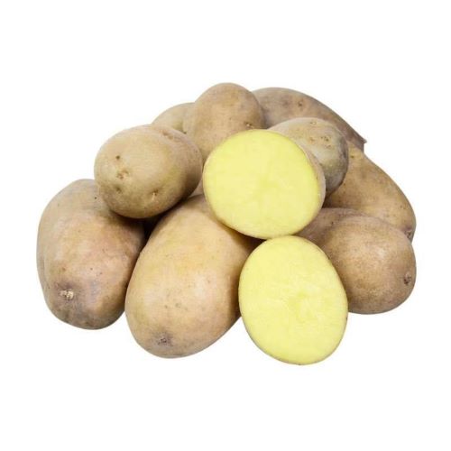 картофель эльмундо характеристика сорта отзывы вкусовые качества