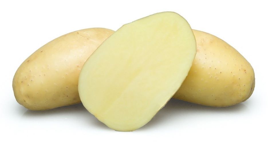 картофель эльмундо характеристика сорта