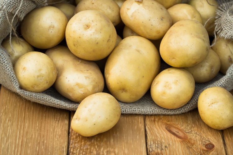 сорт картофеля скарб характеристика отзывы