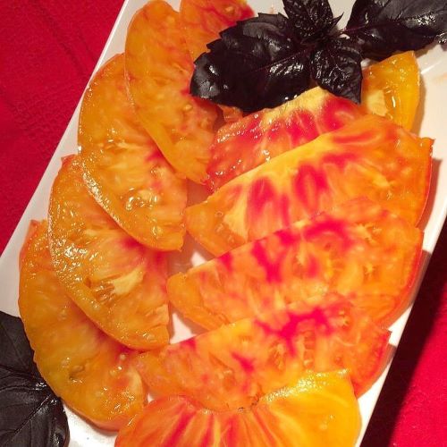 сорт томата медовый салют отзывы